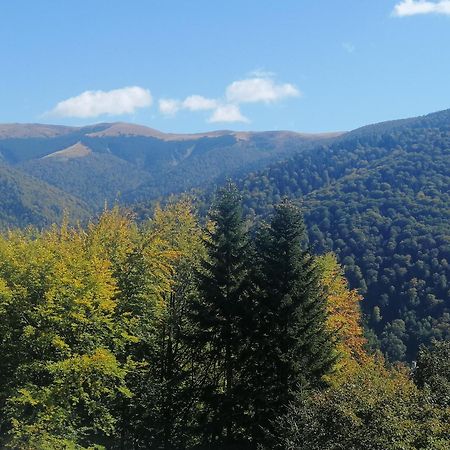 The Rock Apartment Sinaia Bagian luar foto