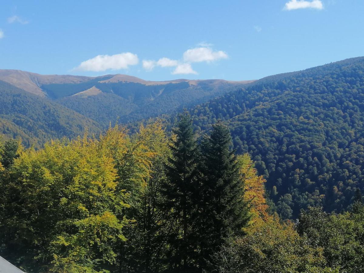 The Rock Apartment Sinaia Bagian luar foto
