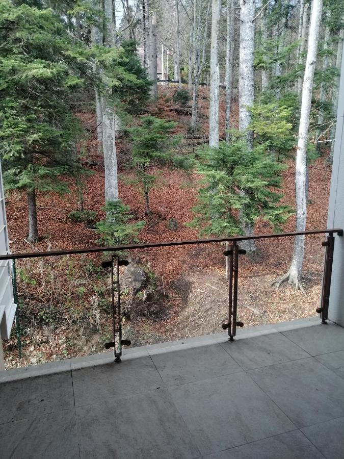 The Rock Apartment Sinaia Bagian luar foto