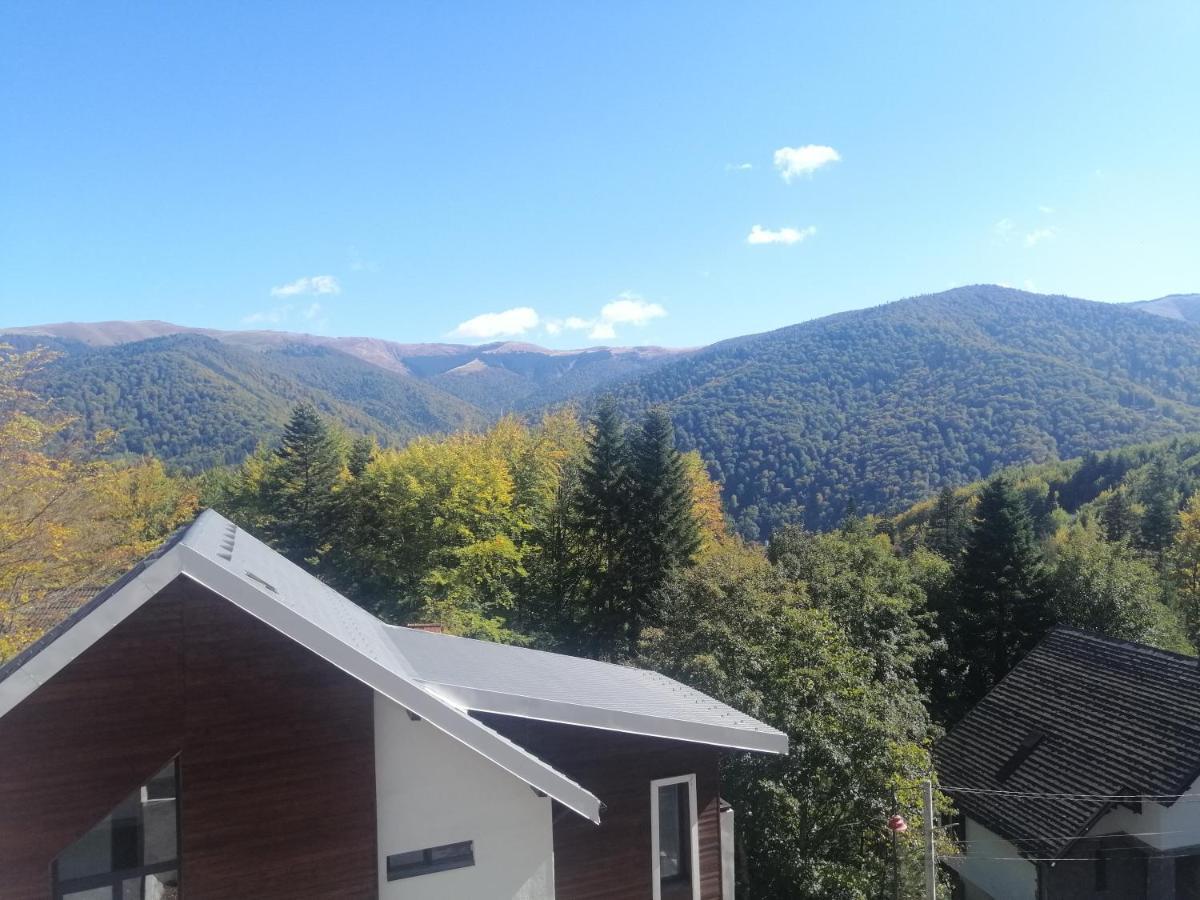 The Rock Apartment Sinaia Bagian luar foto