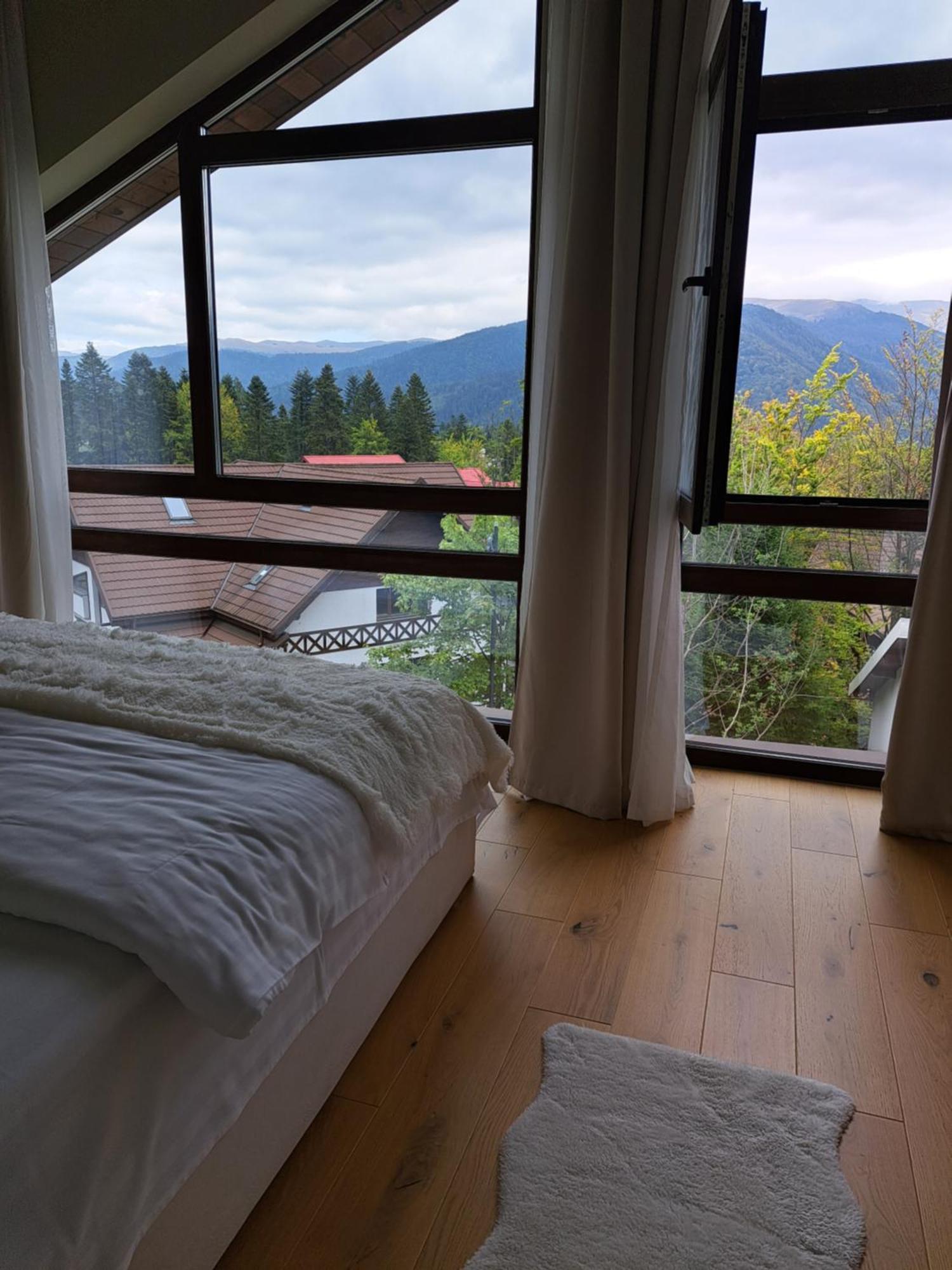 The Rock Apartment Sinaia Bagian luar foto