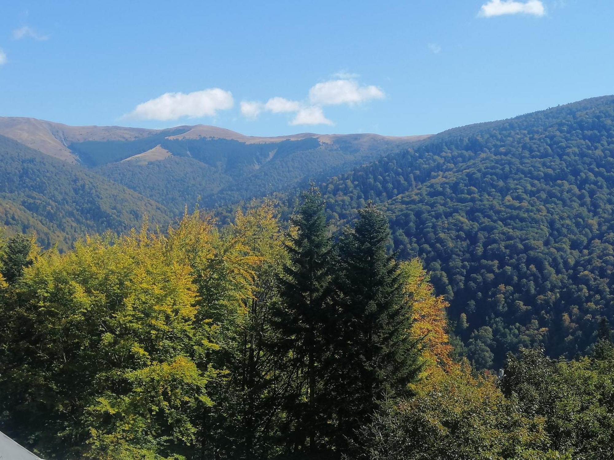 The Rock Apartment Sinaia Bagian luar foto